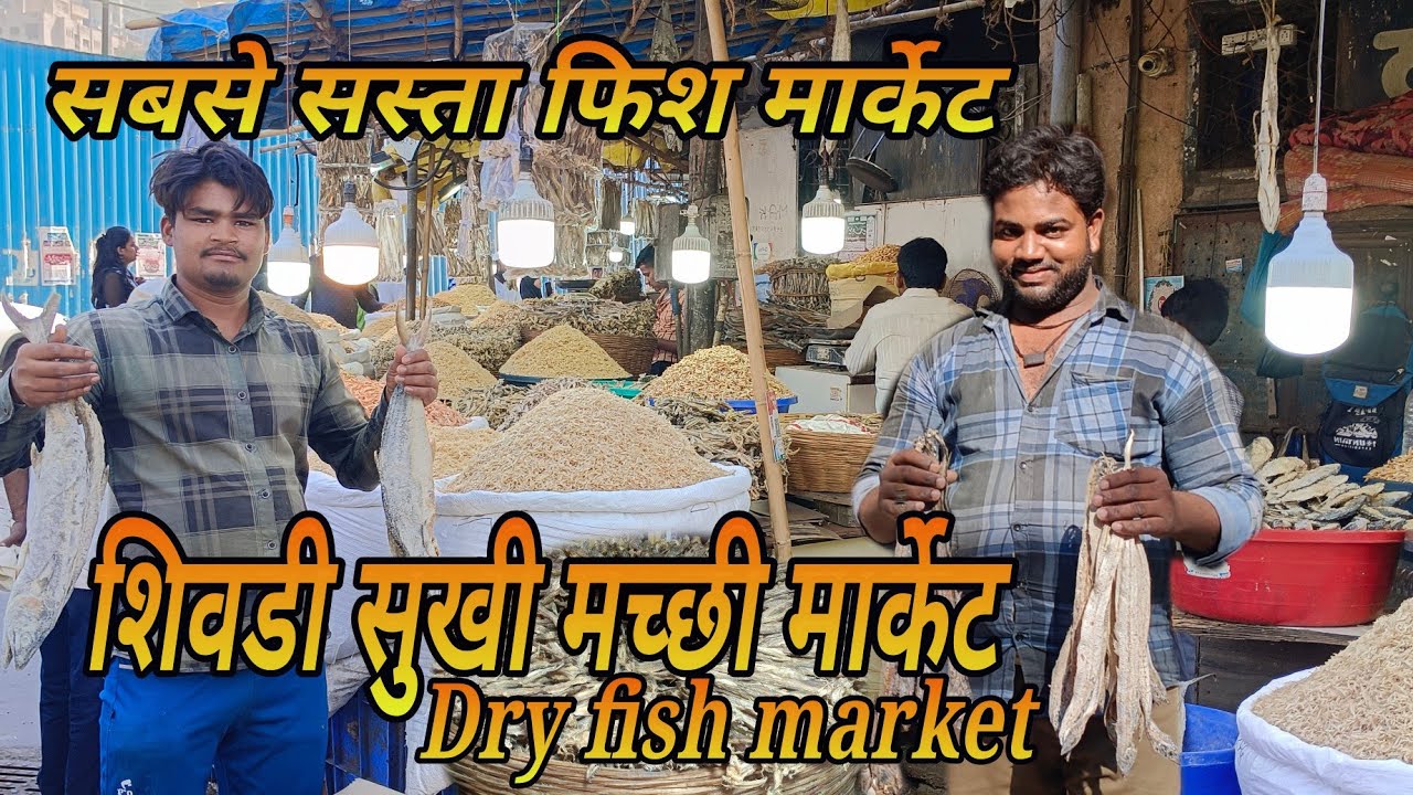 शिवडी सुखी मच्छी मार्केट / Sewri Dry Fish Market Mumbai biggest