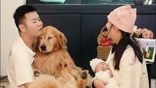 LuhuI hope dad can also take time to spend time with me #dog #puppy #cute #vlog