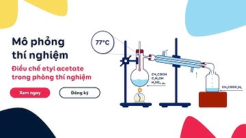 [MÔ PHỎNG THÍ NGHIỆM] 🔥🔥Điều chế CH3COOC2H5 - Ethyl acetate  🥽🥼 Hóa học hữu cơ