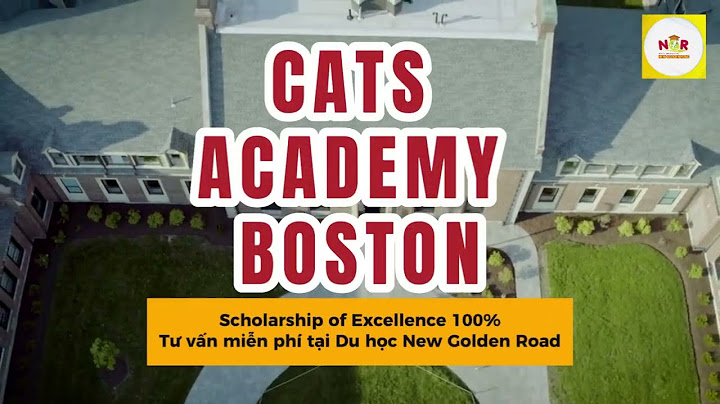 Đánh giá trường cats academy boston năm 2024