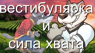 как развить вестибулярный аппарат и силу хвата, научится ходить на руках