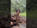“Coumbite” by Frantz Casséus #classicalguitar