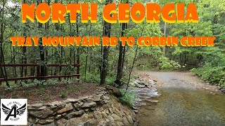 Overlanding Georgia | ChattahoocheeOconee National Forest | Tray Mountain Road | Creekside Campsite