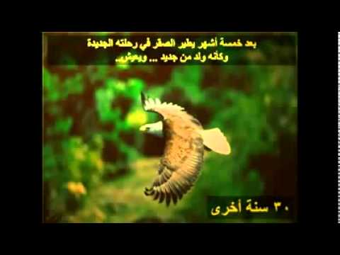 امل يوقظ همتنا Flv YouTube Flv 