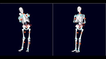Rotate Carrier 0 vs  90 (Biomechanical Model)