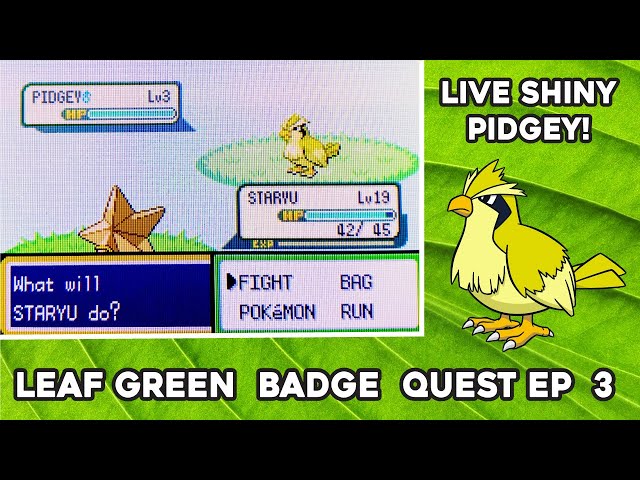 Live Shiny Ditto After 25,552 Random Encounters! (Pokémon LeafGreen) 