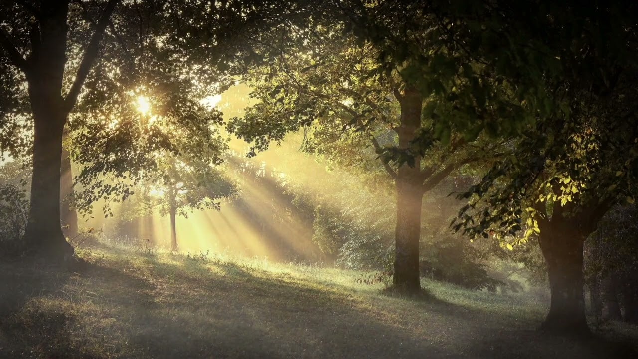 5 minutes of Instrumental Music for Prayer and Reflection