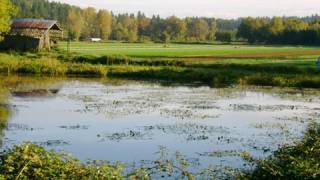 Preserving Local Farms in Oregon