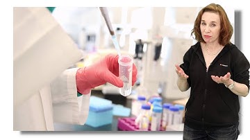 An Exciting Story on Neuronal Memory Allocation