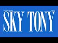 Sky tony  loving you