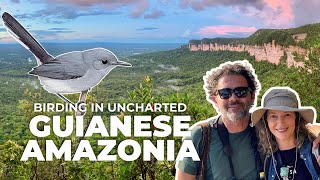 Birding Uncharted Tepuis in the Deep Colombian Guianese Amazon by The Birders Show 2,716 views 8 months ago 3 minutes, 6 seconds