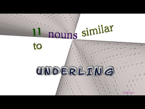 underling - 11 nouns synonym to underling (sentence examples)