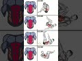 Best home workout for abs and belly fat without equipment for beginners #motivation #abs
