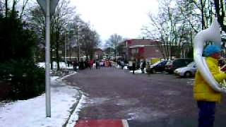 Carnavals optocht holten .