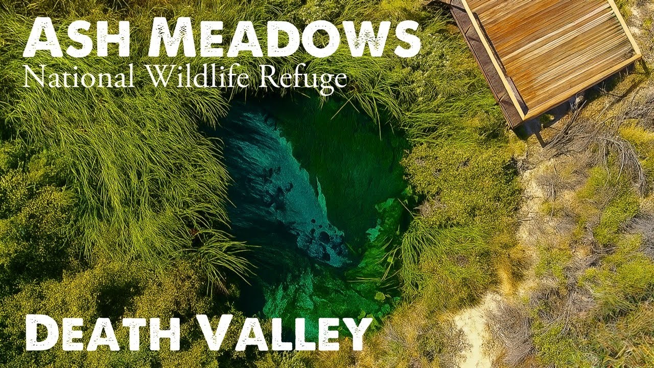 Ash Meadows National Wildlife Refuge, Nevada. 4K Tour of The Spring and Visitor Centre.