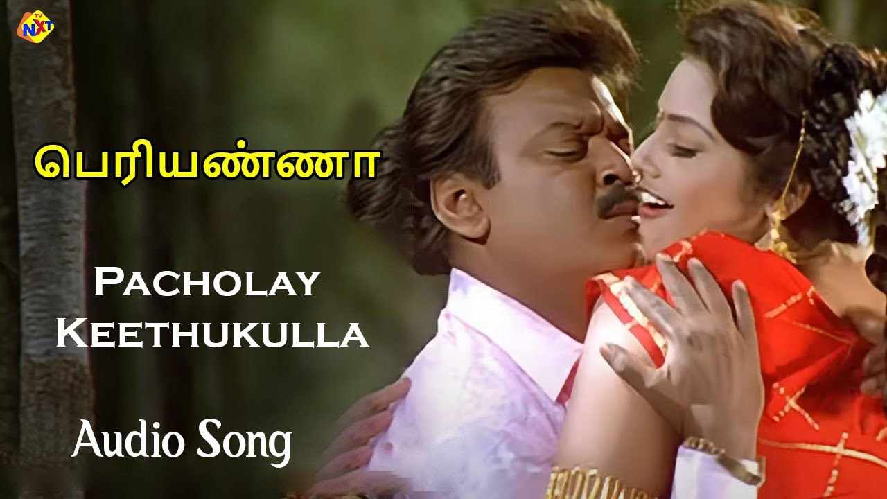 Pacholay Keethukulla Audio Song | Periyanna Tamil Movie Songs | Suriya | Meena | Manasa | Vega Music
