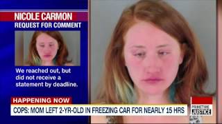 Celebrity HLN: Yodit Tewolde on Woman Leaving 2 Year Old Son in Freezing Car for 15 Hours 12/20/16 Wealth