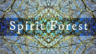 Spirit Forest - mini video meditazione a 432 Hz