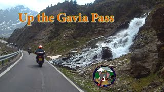 2024 Tour || The Gavia Pass- up the light side || CBR1100XX