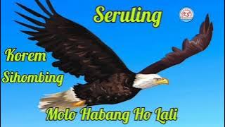 Seruling MOLO HABANGHO LALI andung Simali ali by: Korem Sihombing