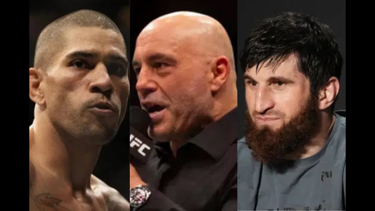 Ufc Analysts Will Joe Rogan Be at UFC 320? Commentators, Interviewers, and Analysts ...