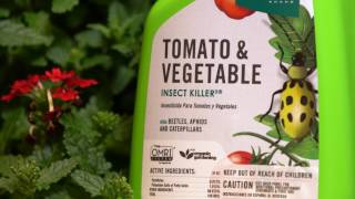 What Are Pesticides And How Are They Used On Our Food?