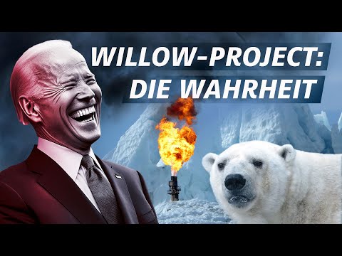 Video: Ist Willow für den Menschen giftig?