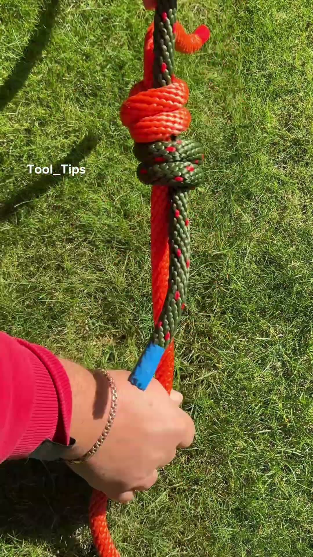 The Genius Tips and Tricks ?
