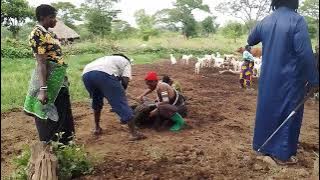 kaliba jihumbi anakaa singida  0625796138