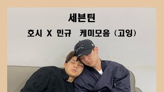 [세븐틴/호시/민규] 호시X민규 케미 모음 (feat.고잉세븐틴)