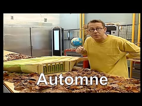 Vidéo: Les feuilles de saule changent-elles de couleur ?