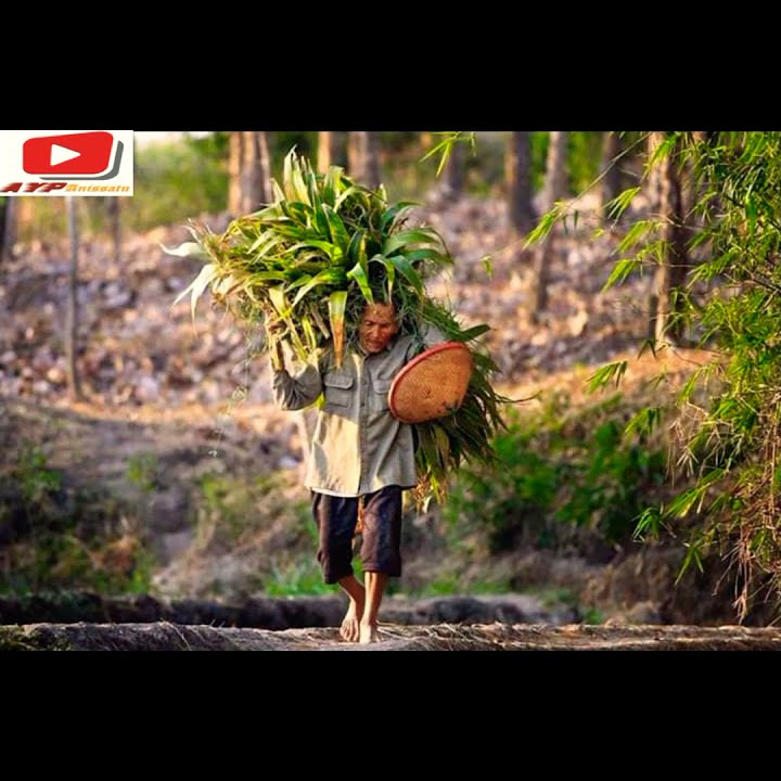 Story WA kehidupan