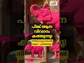 പിങ്ക് ആന വിവാദം! 🐘💖 | Pink Elephant Controversy in Jaipur #shorts