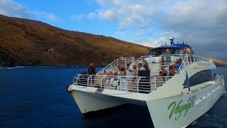 Reggae on the Water - Marty Dread
the Sunset Cruise with Marty Dread and Pacific Whale Foundation should be on everyones Maui activity list. Reggae on the Water - Marty Dread