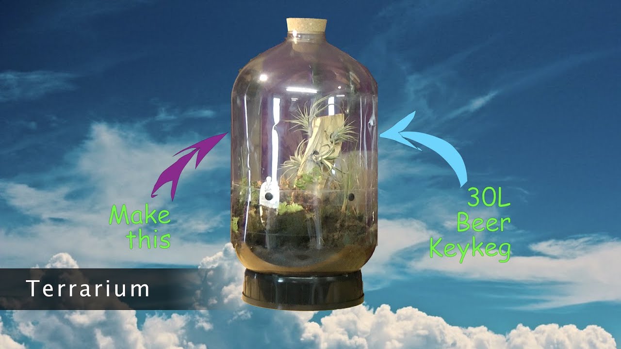 Recycle KeyKeg project #3 | Make a 30L Terrarium