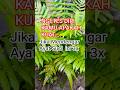 Ngetes Diri Kamu #alquranmerdu #quotesislami