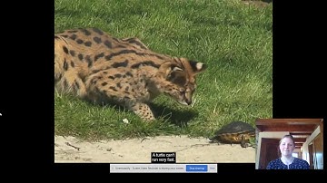 First Grade Wonders, Unit 4, Week 1 Introduction