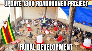 Results After Making Our Own Feed For 1300 Roadrunners