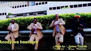 System Tazvida ~ anodyiwa haataure video