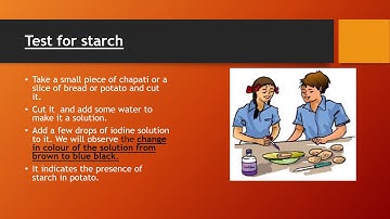 Class -6 Science Chapter 2  COMPONENTS OF FOOD (part 1)