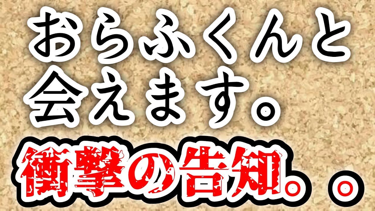 おらふ様確認用 スヌーピー PEANUTS チョコチェックシリーズ オラフ 