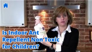 All About Bugs & Pests : Is Indoor Ant Repellent Non Toxic for Children?