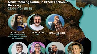 Mainstreaming Nature in COVID Economic Recovery