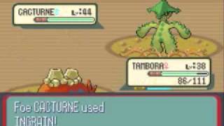 Pokemon Sapphire Walkthrough Part 66: Victory Road