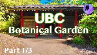 UBC Botanical Garden Asian Garden Walk  | Vancouver Part1/3  | 4K