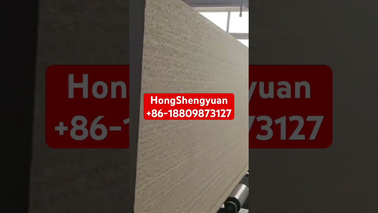 Export Israel hot press with automatic drying machine and palletizer, made in China