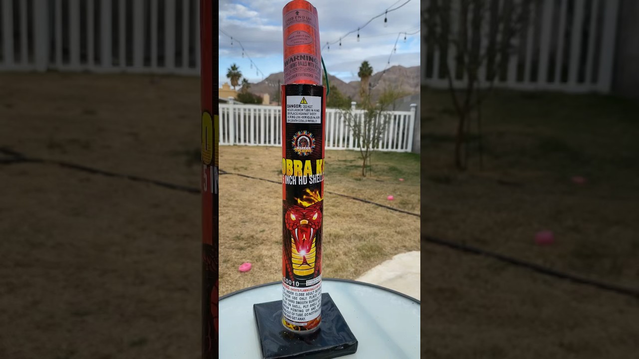 Cobra Kai 12 from Warrior ￼