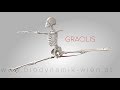 Gracilis Muscle 3D Animation 4K