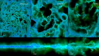 Stellar Feedback vs. Galaxy Formation
