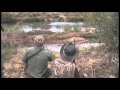 Hippo Hunt Letaba River, South Africa